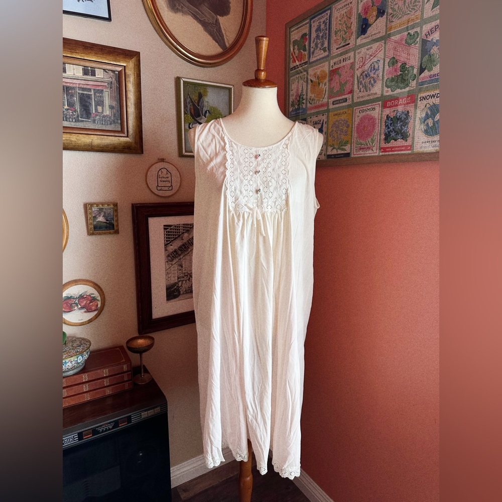 ✨ Vintage Sheer Dream Dress ✨